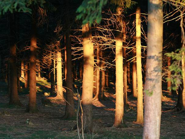 Jesień w Górach Izerskich. Fot. Vratislav Lelek