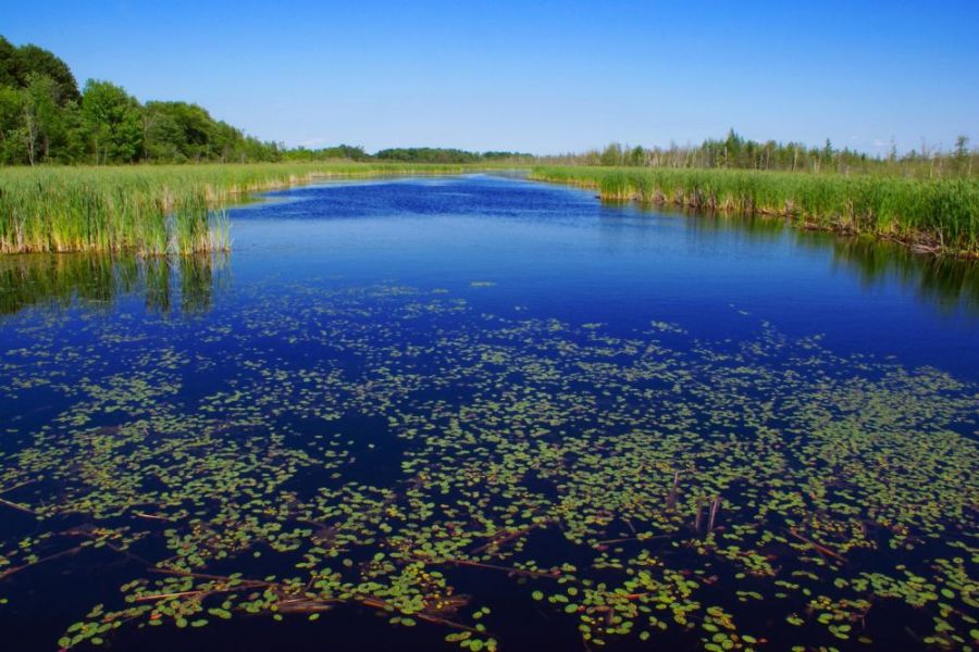 Morawska Amazonia. Fot. archiwum kudyznudy.cz