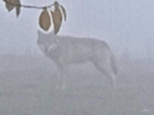 źródło: denik.cz