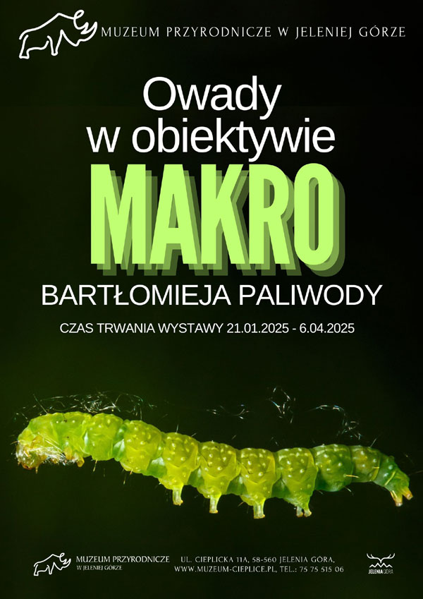 wystawa_paliwoda_makro.jpg